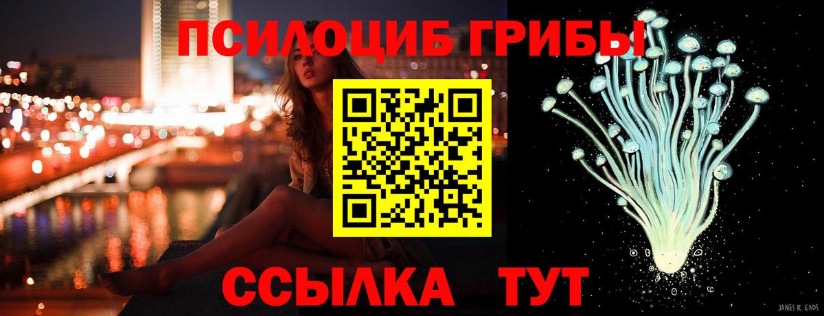 Галлюциногенные грибы Cubensis Дедовск